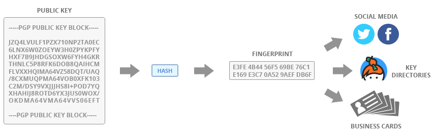 PGP Fingerprint Diagram