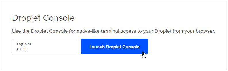Launch droplet console